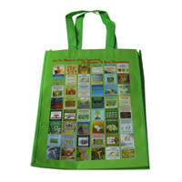 河源LB11覆膜无纺布广告袋